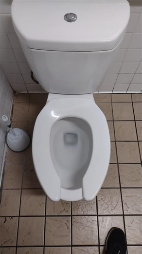 2010s Niagara Stealth "Toilet". (THE ABSOLUTE WORST TOILET OF ALL TIME!) #niagara #toilet #flush