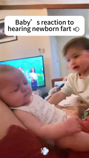 Young children's reactions to their younger siblings defecating and passing gas. #funny #usa🇺🇸 #funnymoments #funnyvideos #tiktok