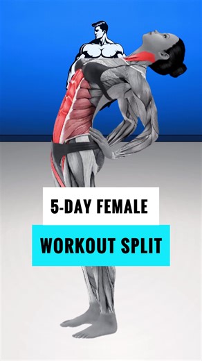 5-Day Female Workout Split for Optimal Fitness