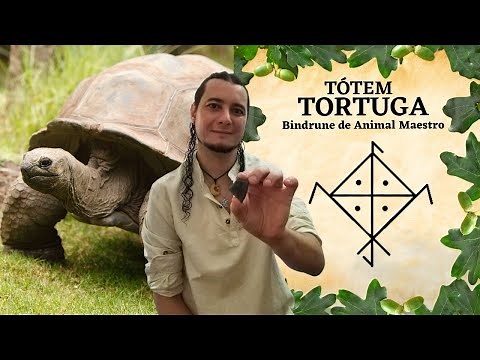 TORTUGA TÓTEM 🐢 Animal ESPIRITUAL TORTUGA significado 🗿 ANIMAL DE PODER TORTUGA