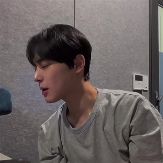 Choi Byungchan - Voice Compilation #VictonEdit