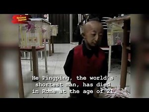 World's shortest man - Pingping | Guinness World Record