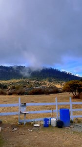 31K views · 275 reactions | Las llamas de Perú en los Cuchumatanes Huehuetenango | Abner SR | Facebook