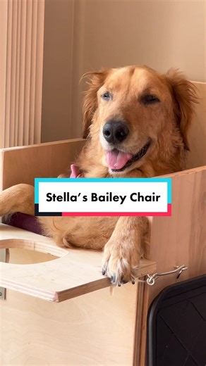 Helping Stella with her Bailey Chair Journey