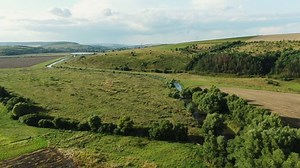 Forest Fields Captured By Slow Drone Stock Footage Video (100% Royalty-free) 1046931250 | Shutterstock