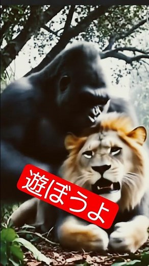 仲良しの二人　#shorts 友達っていいものですねー。