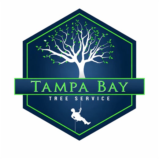 Tampa Bay Tree Service | Clearwater FL