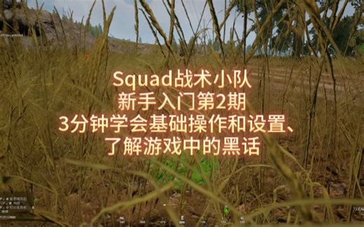 Squad战术小队新手入门第2期：3分钟学会基础操作和设置、了解游戏中的黑话
