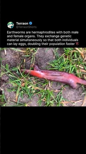 Something you didn't know about earthworms
