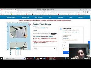 Top Fin Tank Divider Review