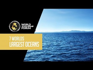 7 World's Largest Oceans 2022 - Which is The Largest?