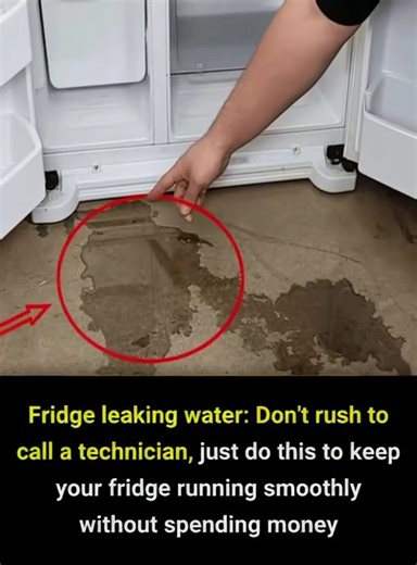 With the following simple tip, you can easily fix the issue of water leaking from your fridge, whether it's from the fridge section or the freezer section, without having to spend money calling a technician 😲 | Feedy