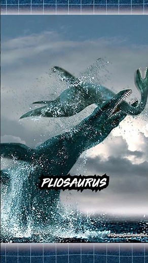 Here's Why The Pliosaurus Could Be A Predator Of The Great White Shark. Full Video Attached
