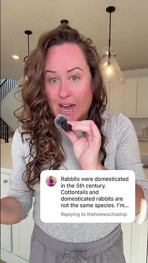 Rabbit Domestication
