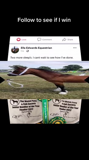 top 3 for junior handler of the year. Follow to see if I win. Fb Ella Edwards Equestrian #top3 #awards #fyp #pony #welsh #nightout #show #wpcs #welshpony #love #lucky #fb #sports #tiktok #firsttime #horse