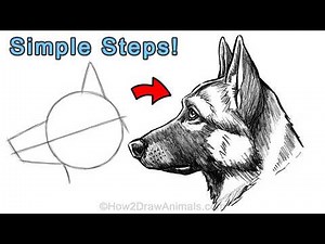 Easy Way to Draw a German Shepherd in Charcoal