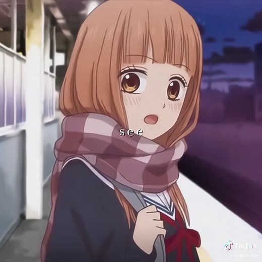 Peak Anime Tsubasa Tohotaru Edit