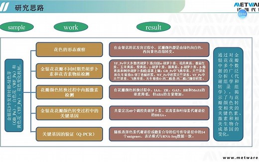 只需9个样本！BMC Plant Biology发表金银花花色研究成果
