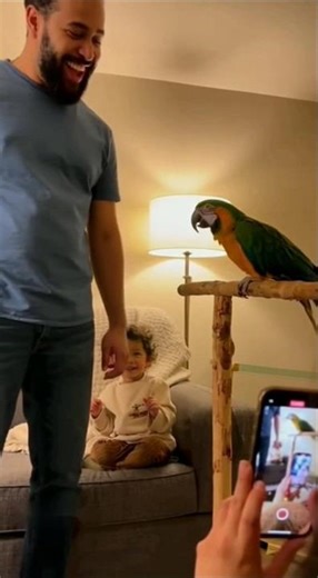 Talking Parrot Copies Everything He Says 😂 #parrot #parrottalking #shorts #animals