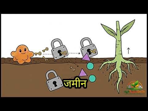 From Nobel Prize to Farmer’s Field | How Science Helps Indian Farmers | AgriExpertIndia