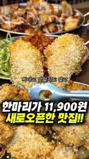 한마리 11,900원 치킨집 오픈..!🔥 #치킨 #통닭 #범어동맛집 #대구맛집 #맛닭꼬
