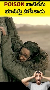 12K views · 69 reactions | From Ravine Fall to Wolf Ally: The True...