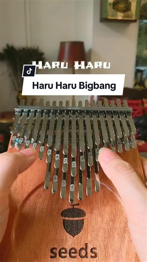 Haru Haru Kalimba Cover - 41 Keys Performance
