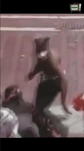 Parliament-Funkadelic Biography George Clinton Funk Music History