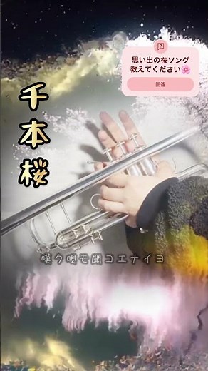 【千本桜🌸】トランペットソロ