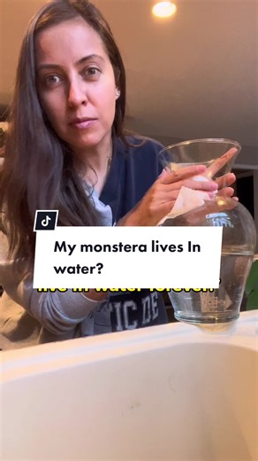 Household Plants That Thrive in Water: Hydroponics Explained