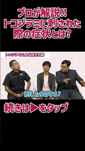 プロが解説！！トコジラミに刺された際の症状とは？ #駆除ザウルス #トコジラミ