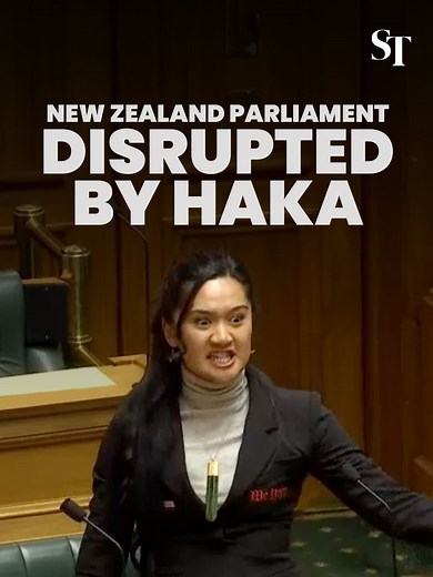 New Zealand's Parliament was briefly suspended on Nov 14 after Maori members staged a haka to protest a contentious Bill. Many Maori and their supporters see the proposed law as undermining the rights of the country's indigenous people. #nz #newzealand #maori #haka