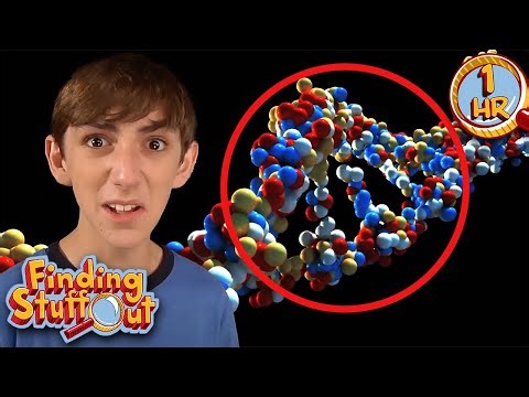 Exploring Forensic Science And Beyond | Full Episodes | Finding Stuff Out | Scholastic After School