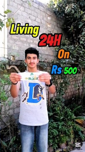 living on Rs 500 for 24h challenge #challenge #minivlog