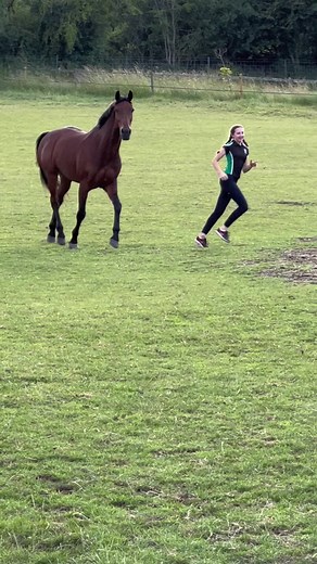 Equestrian Dressage: My Forever Kind of Thing ft. Ruby Hughes