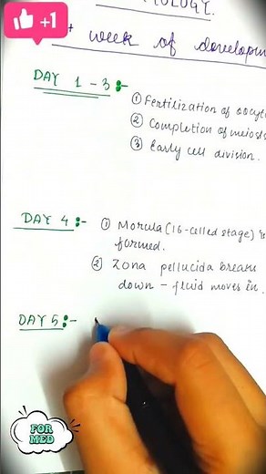 Embryology || 1st week of development | MEducation #anatomy #embryology #viral #viralvideo #revision