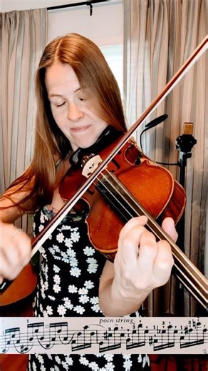 The Sibelius Shuffle #violinist #concerto #fiddler