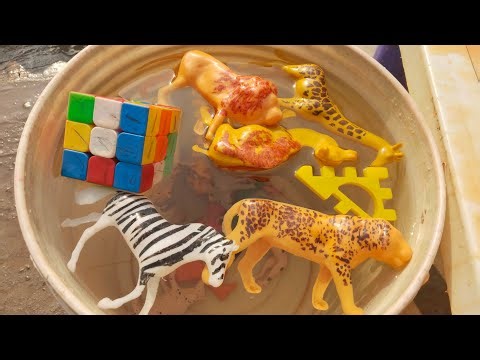 Sink or Float? 🚢💦 Wild Animals in Water Bucket! - Baby Toys! Kids Education Video