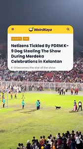340K views · 8.3K reactions | Alexa, play Who Let The Dogs Out by Baha Men  Read here: https://weirdkaya.com/netizens-tickled-by-pdrm-k-9-dog-stealing-the-show-during-merdeka-celebrations-in-kelantan/ | WeirdKaya | Facebook