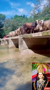 2.7M views · 95K reactions | #viral #reels  #durgapuja #mata #durga #जय #devotion #mahakali #devotional | Pooja ji | Facebook