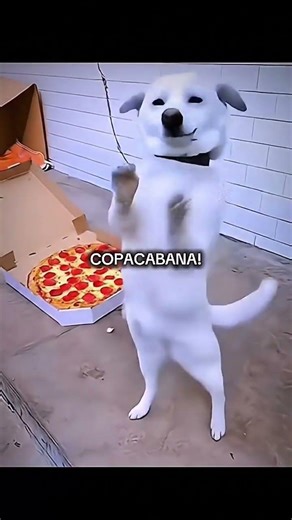 first time using Ai😔✌🏻