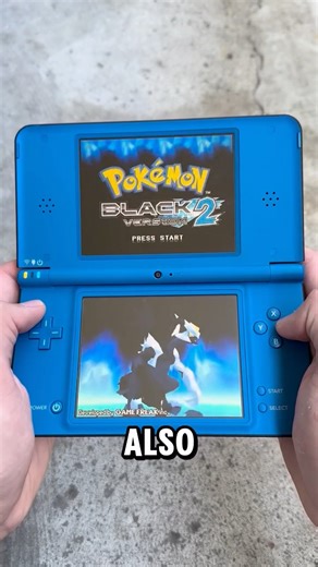 The DSi Xl has DUAL IPS Screens!