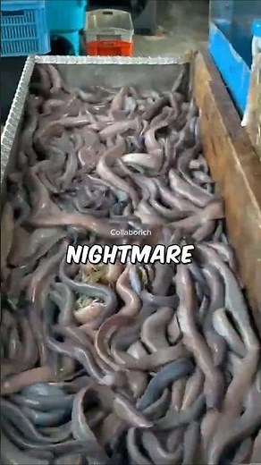 The Slime Machine of the Ocean 😳 | Hagfish Facts You Won’t Believe