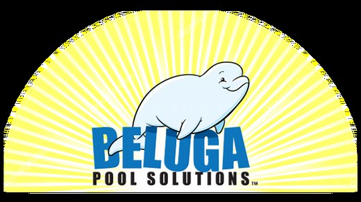 How It Works | Beluga Pool