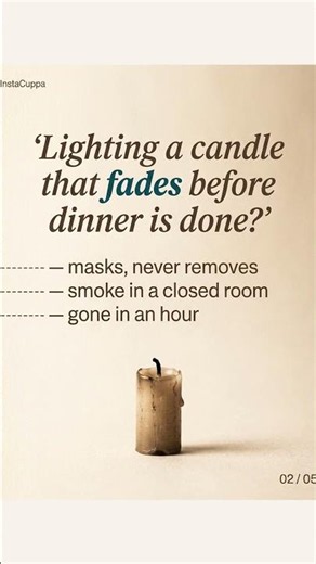 Candles vs Diffusers vs Open Windows — The Damp-Smell Verdict