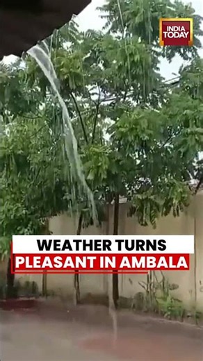 Rain Lashes Parts of Ambala, Brings Weather Relief | Haryana News