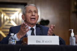 Full Replay: Dr. Anthony Fauci Testifies On Origins And Federal Response To Covid-19
