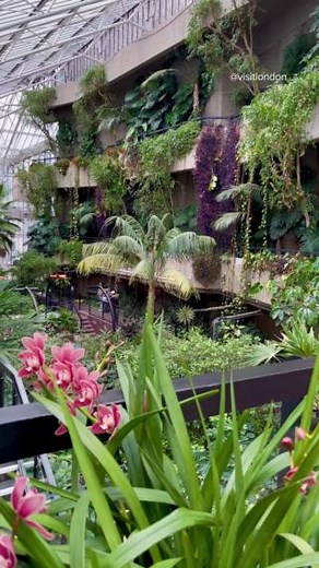 Did you know you can visit a hidden botanical garden in the City of London? Welcome to the Barbican Conservatory, a tropical oasis that houses everything from palm trees to banana plants. The conservatory at the Barbican Centre is one of London's biggest greenhouses, and admission to explore this enchanting leafy sanctuary is free🌿 Is this on your London to-do list? 📍Barbican Conservatory #VisitLondon #LetsDoLondon | Visit London