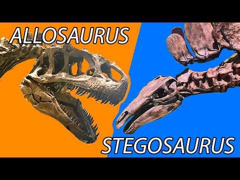 These Famous Dinosaurs Were Found Together (Inside the Carnegie Museum)