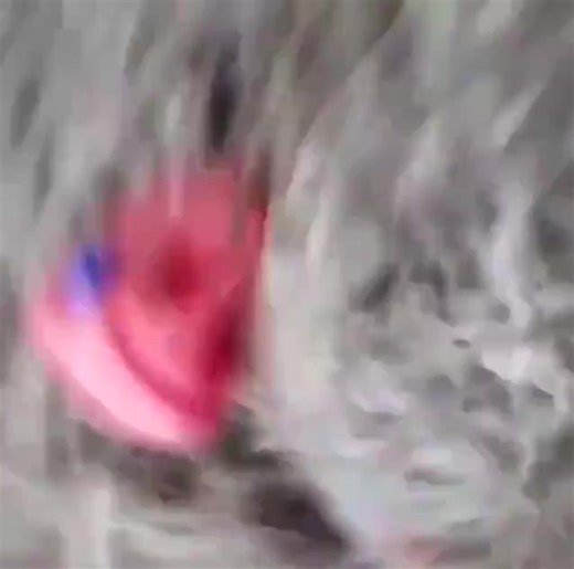 5.9M views · 29K reactions | En Groenlandia, un tsunami generó olas...